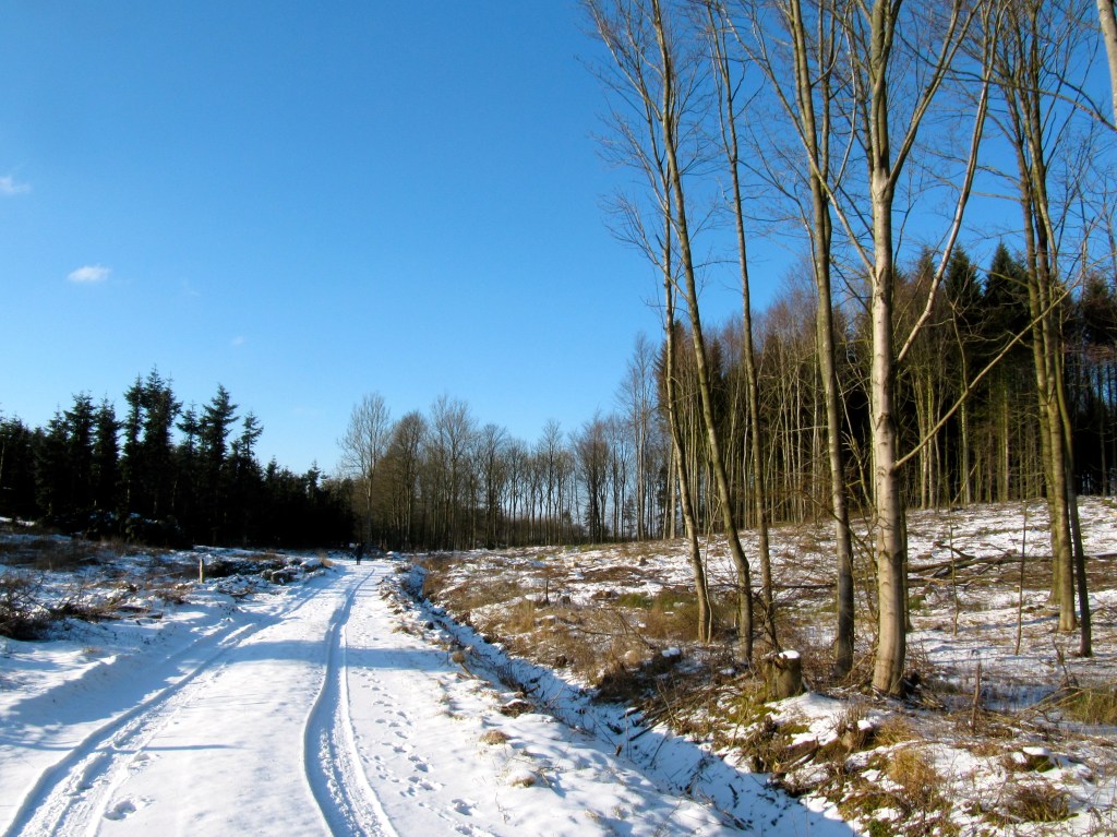 VANDRETUR VED SKJOLDNÆSHOLM