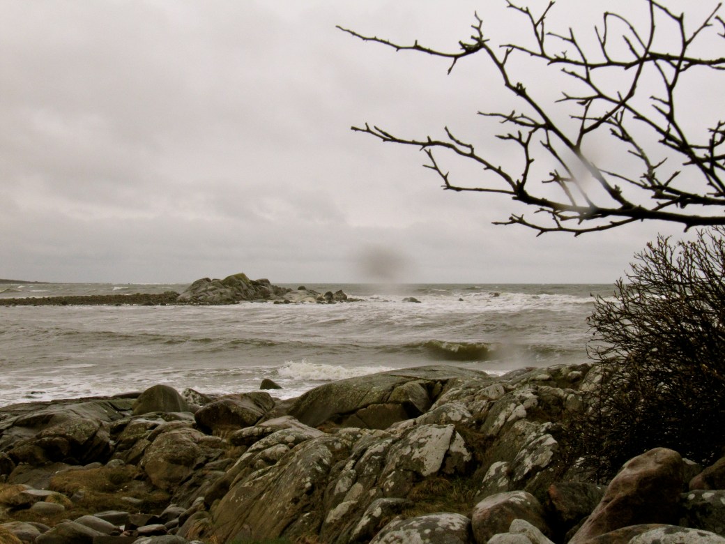 Steninge Naturreservat