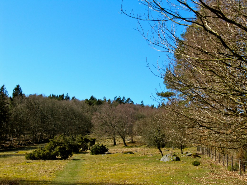 STENINGE NATURRESERVAT - INDLAND