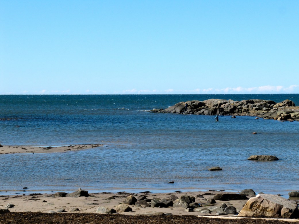 STENINGE NATURRESERVAT