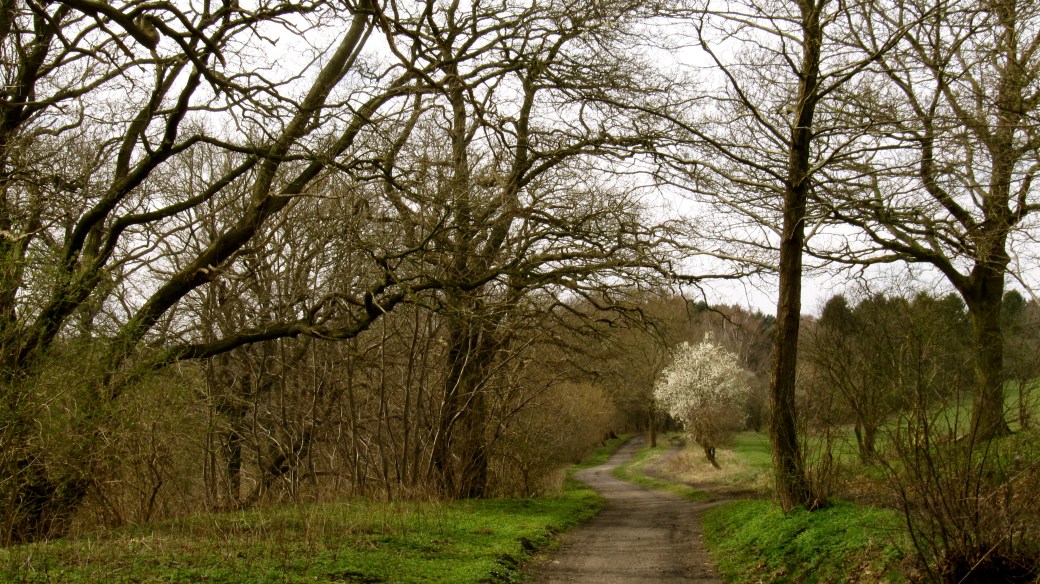Meget smukke landskaber langs Mølleåen