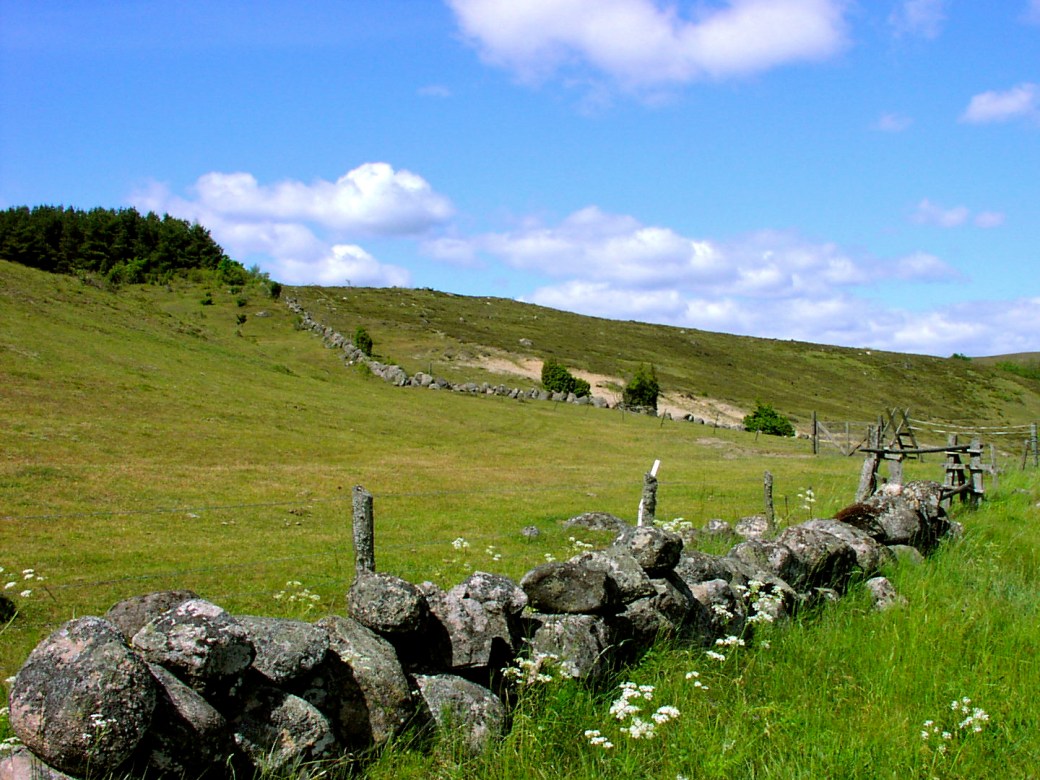 Verkaåns Naturreservat