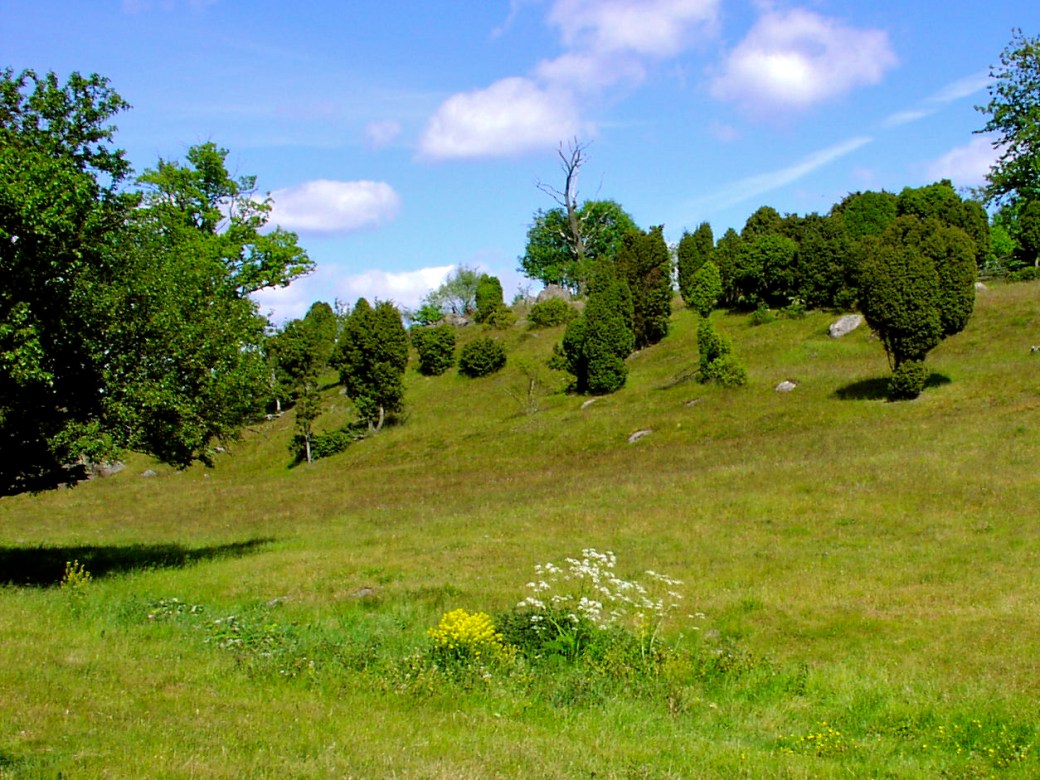 Verkaåns Naturreservat