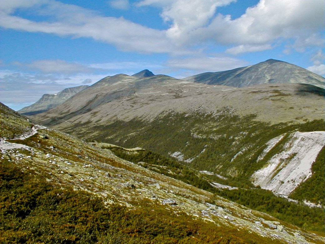 Ras - Stenskred i nederste højre hjørne