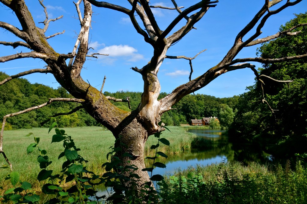 På vej mod Øresund