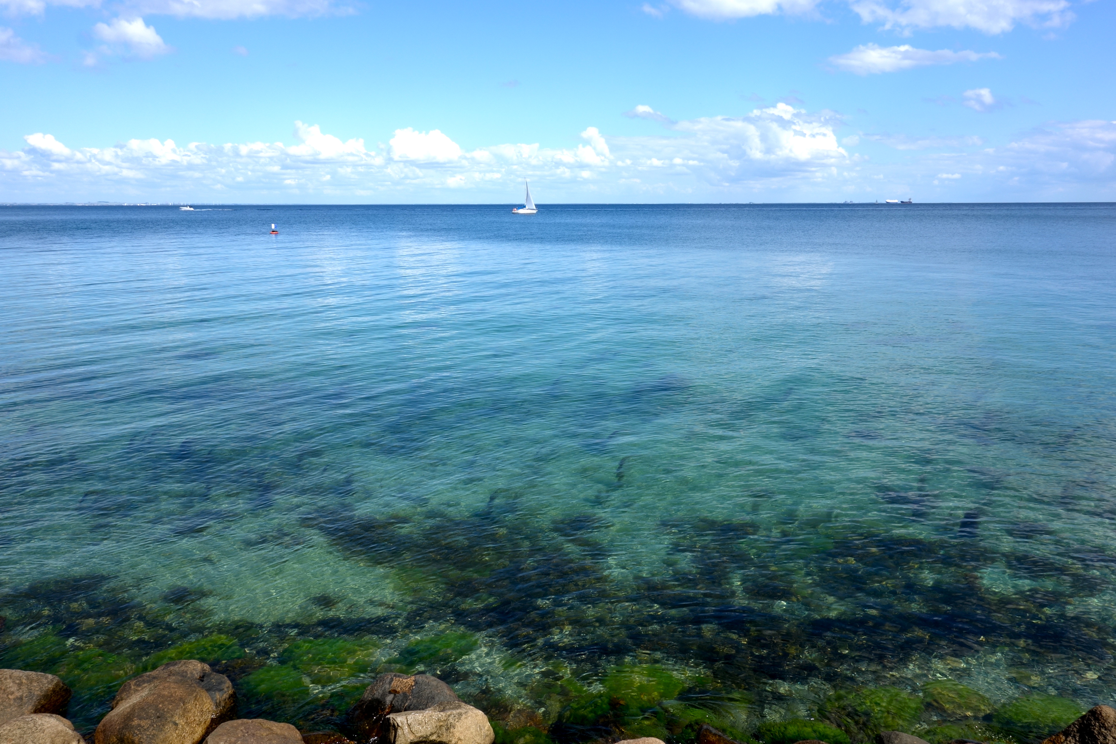 Øresund ved Hvidørevej