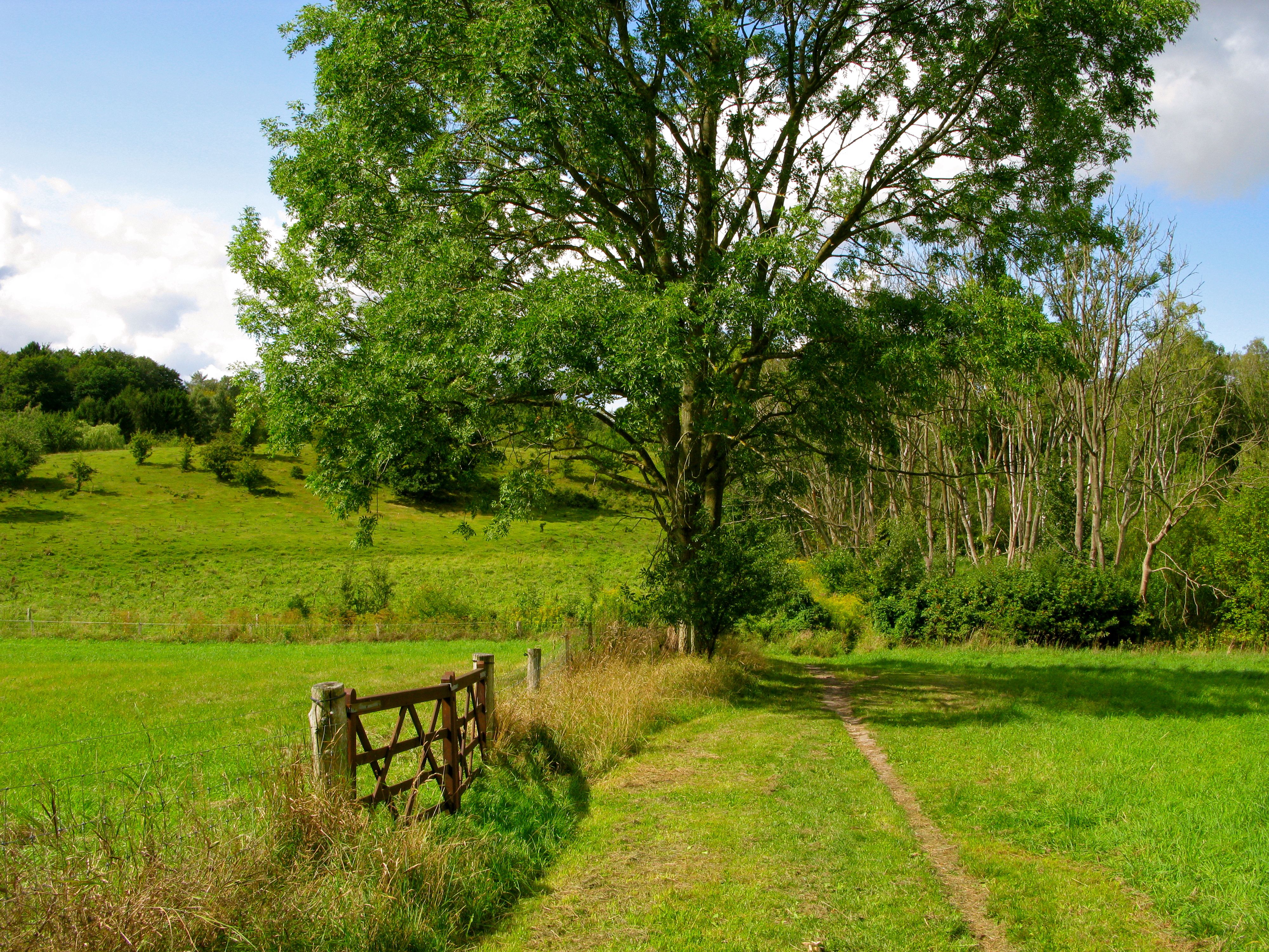 Mellem Ganløse Eged og Skovly