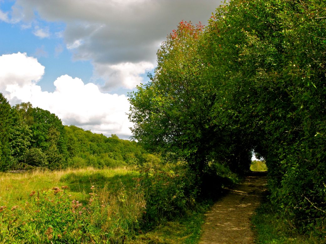 Tunneldal ved vandskellet