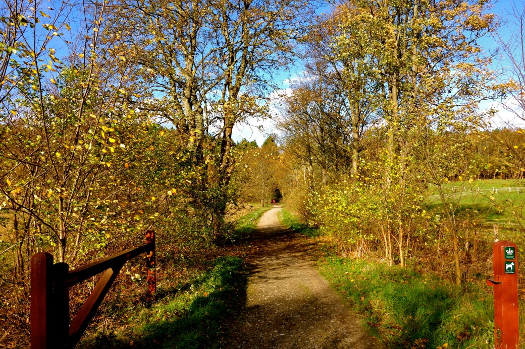 Indgang til Geels Skov