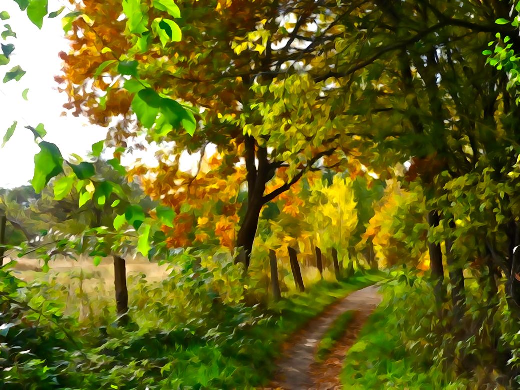 Foto af Hanna Greenwood