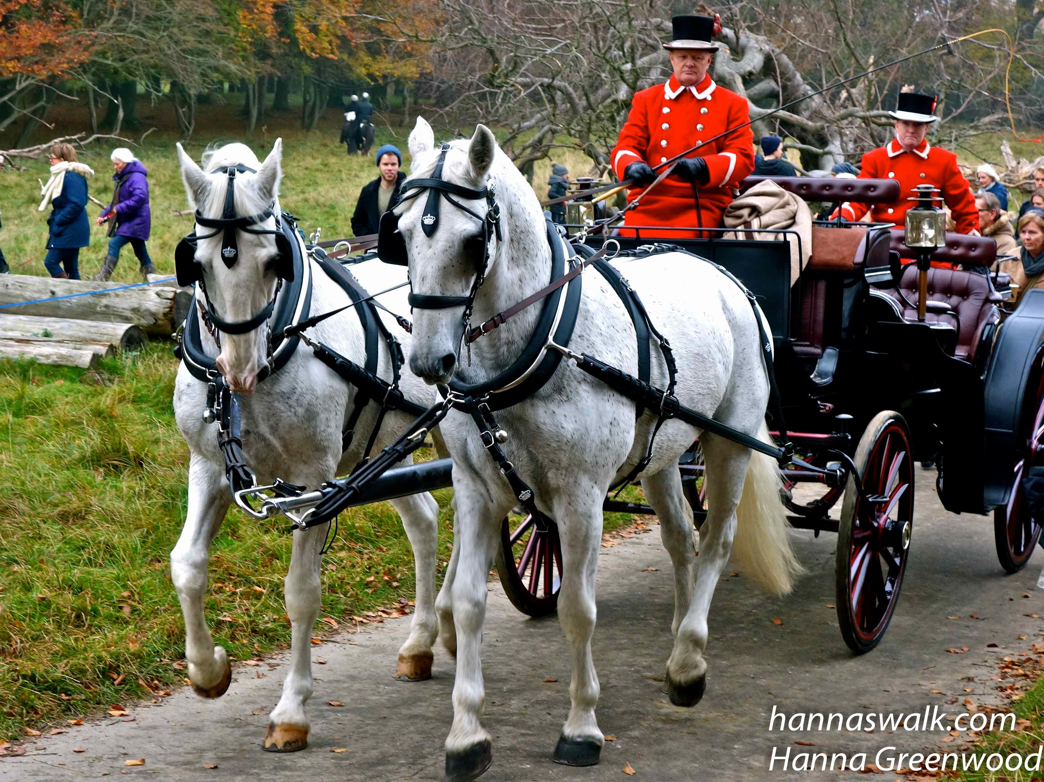 Opløb ved Magasindammen