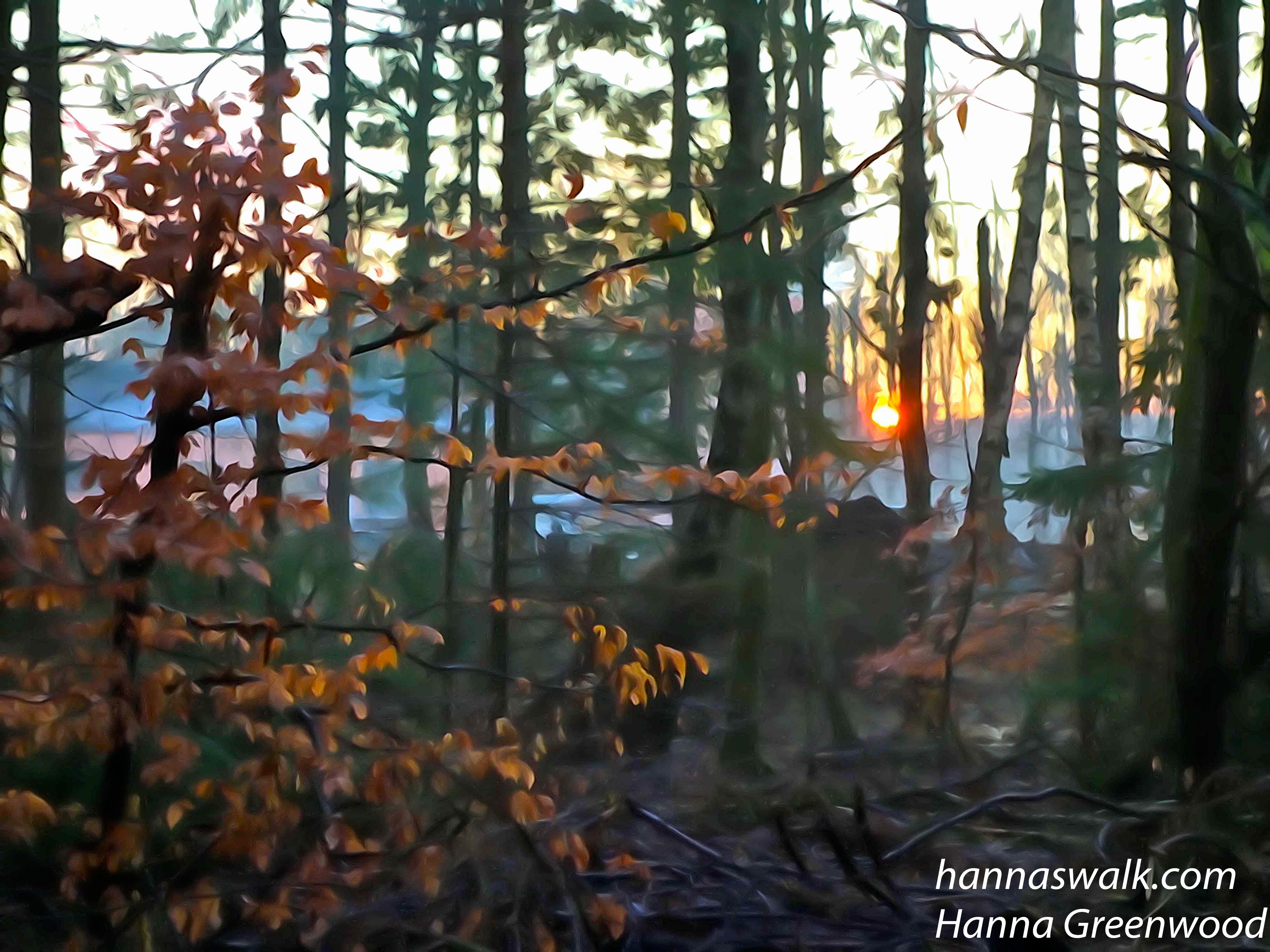 Ved Kagerup station, Gribskov