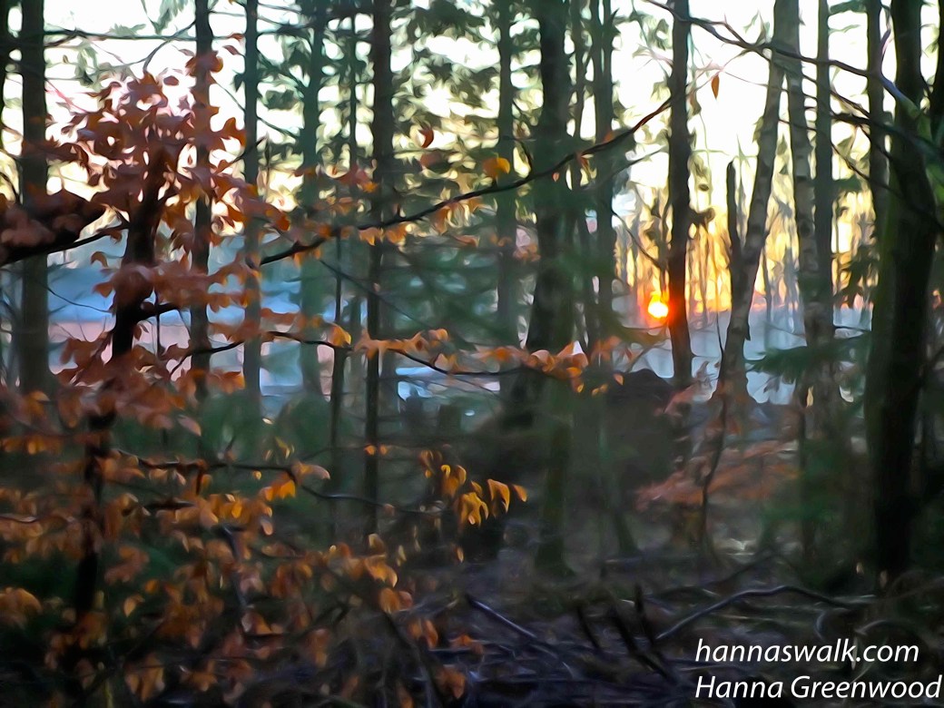 Ved Kagerup station, Gribskov