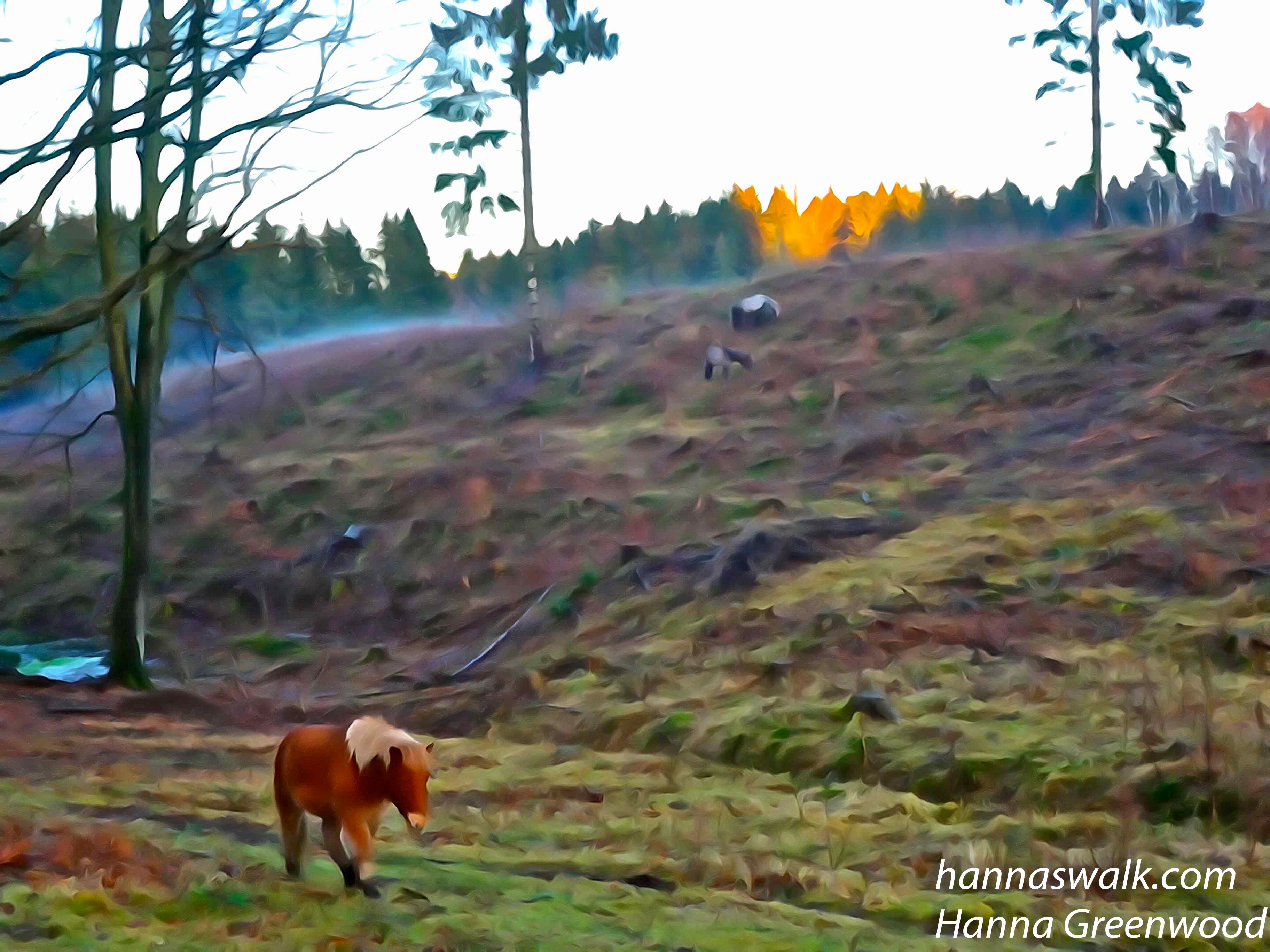 Ulvedalene, Gribskov