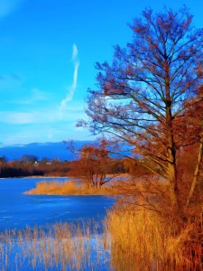 Frozen lake - Lyngby Sø