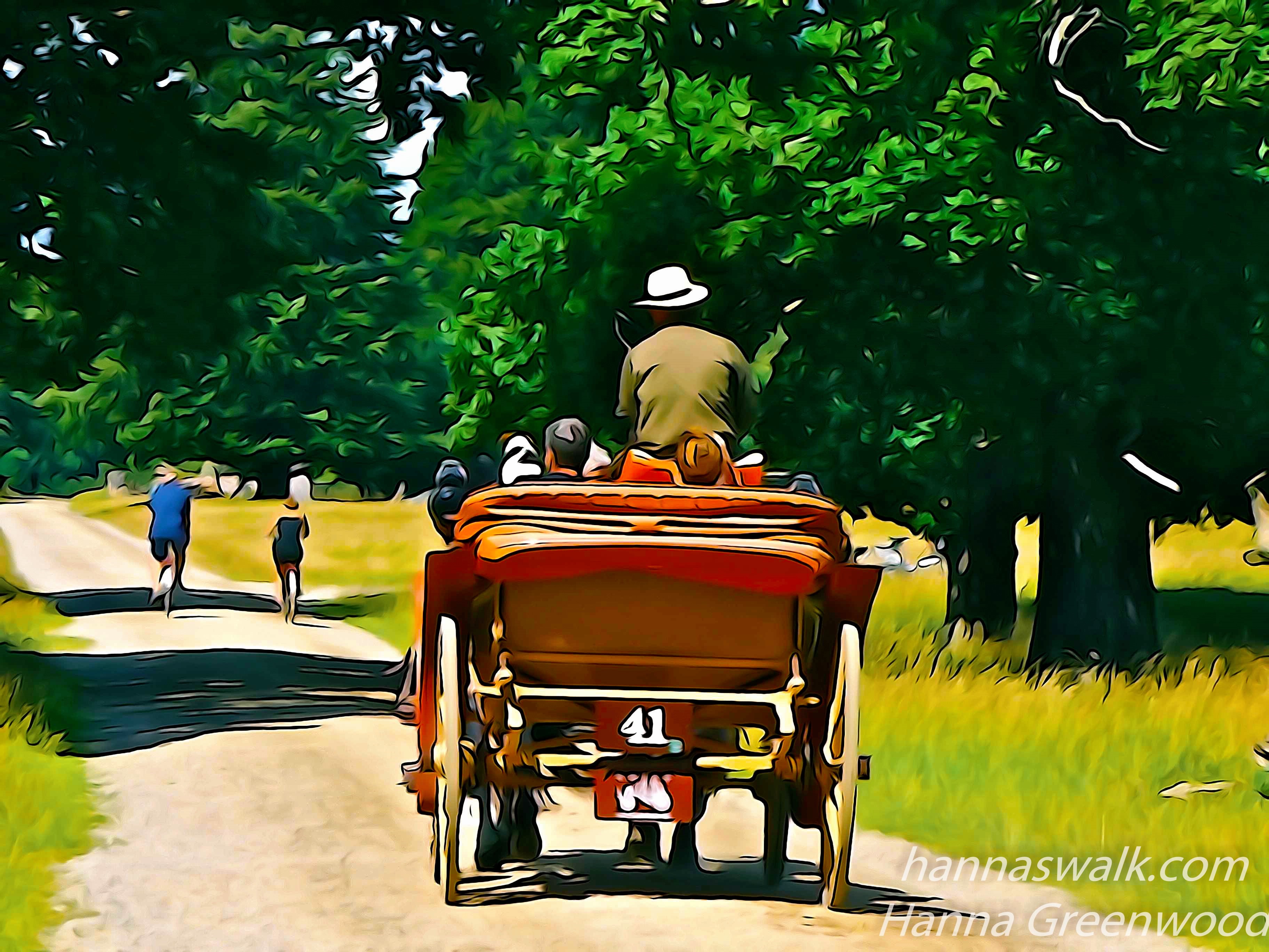 Kapervogn, Jægersborg Dyrehave