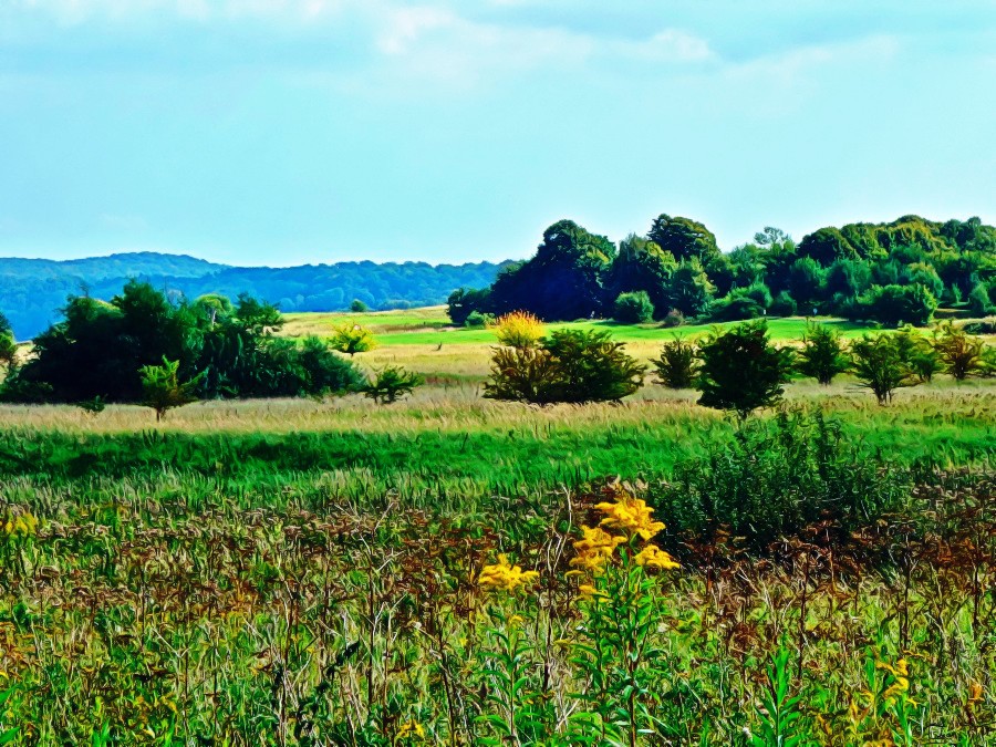  Høvelte, Sjælsø Sandholm Øvelsesterræn 