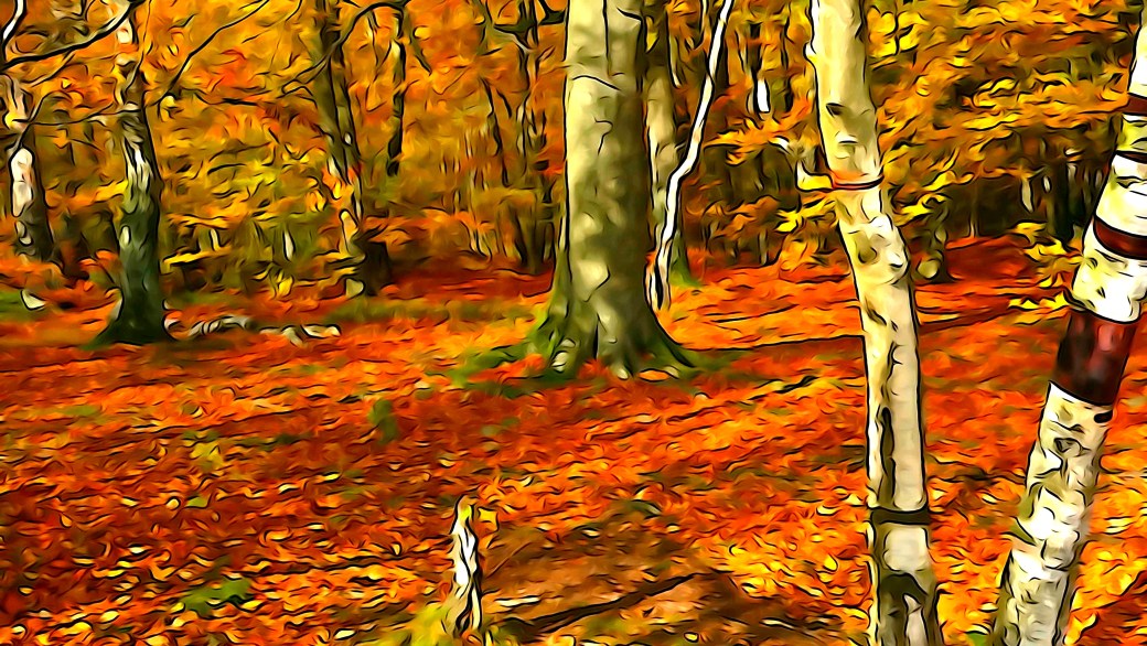 The Bog - Bøllemosen