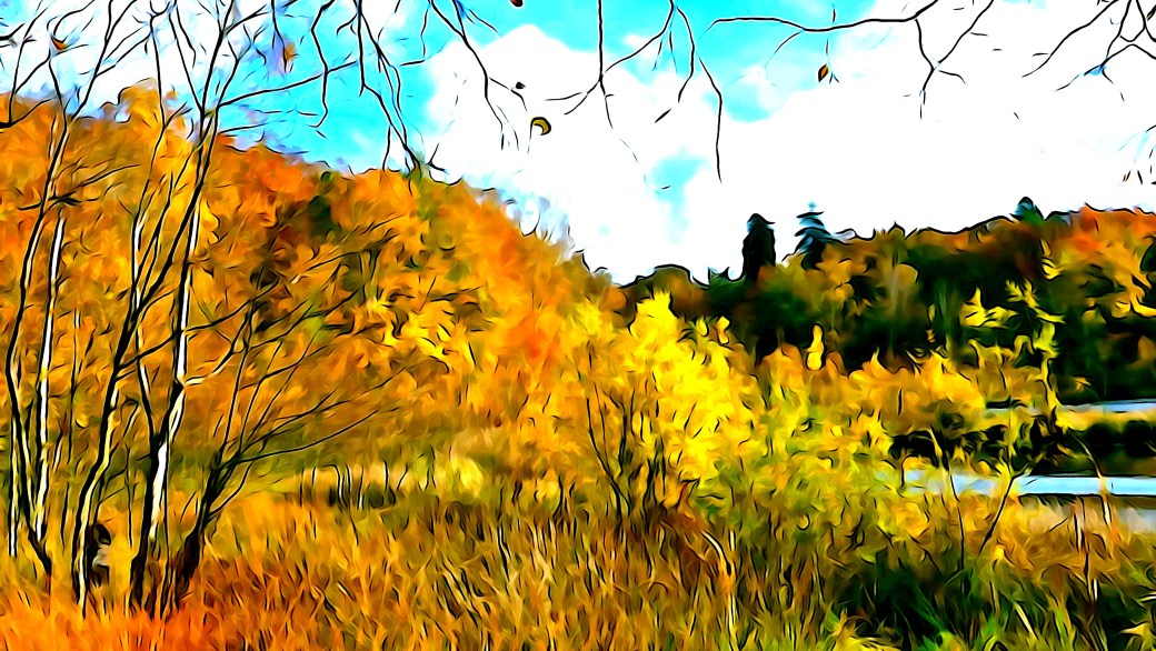 The Bog - Bøllemosen