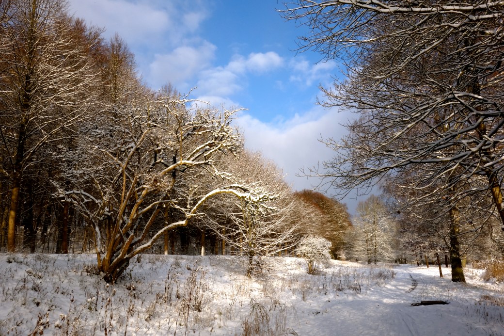 Mølleådalen, Kongens Lyngby