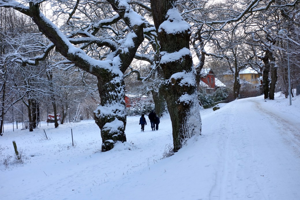 Mølleådalen, Kongens Lyngby
