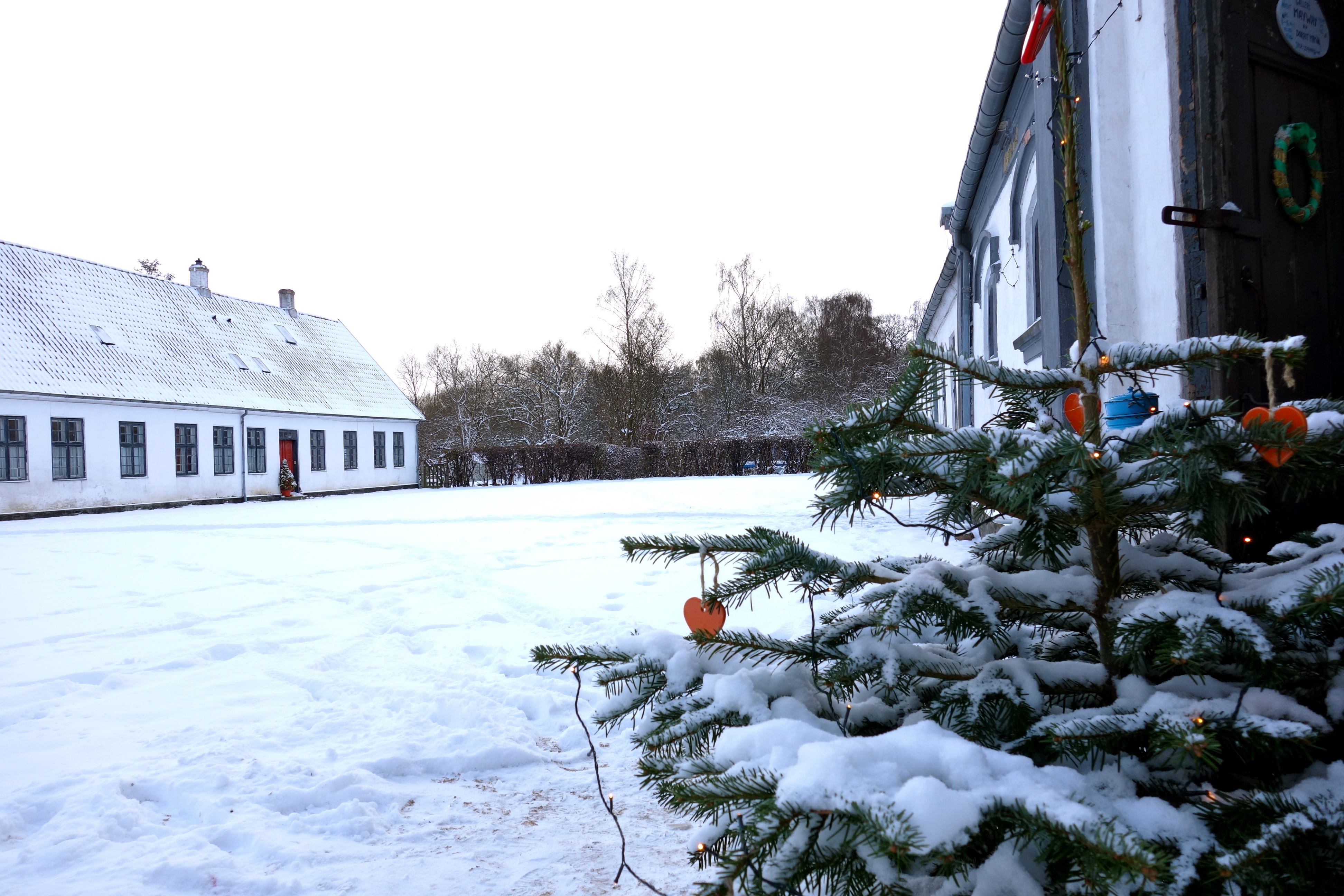 Brede, Kongens Lyngby