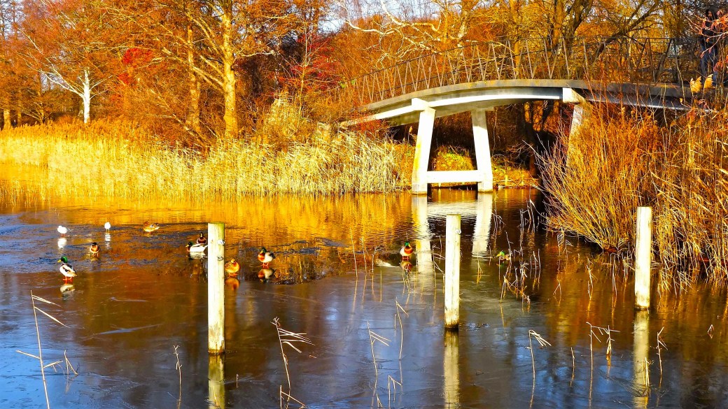 Søpromenaden, Lyngby Sø, Kongens Lyngyby