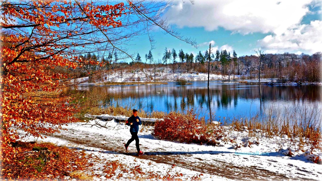 Rude Skov, Rudersdal Kommune