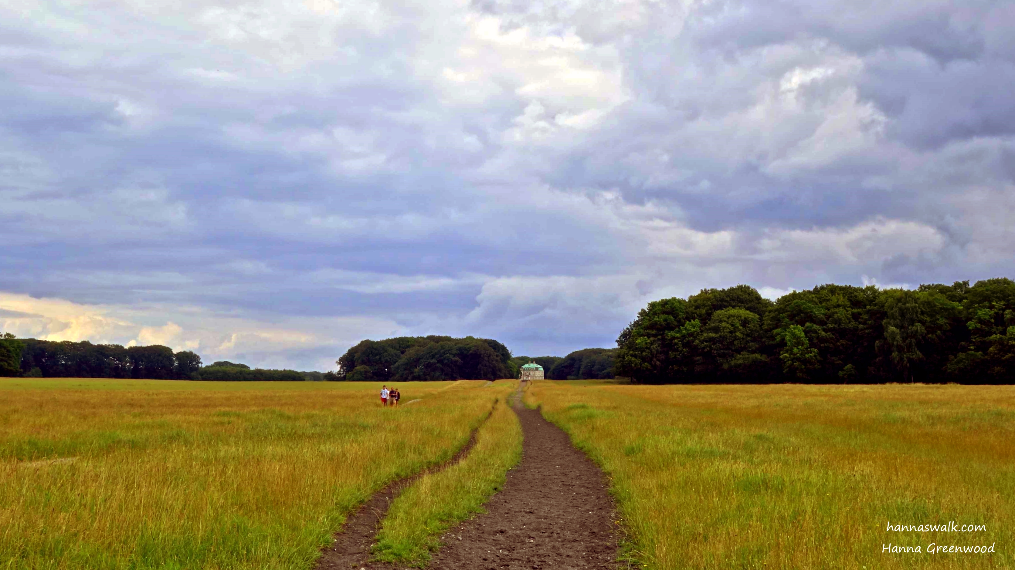 I enjoy walking here. The wide open spaces give a clear view of the sky. Sometimes people must stop because deer walking across the path.