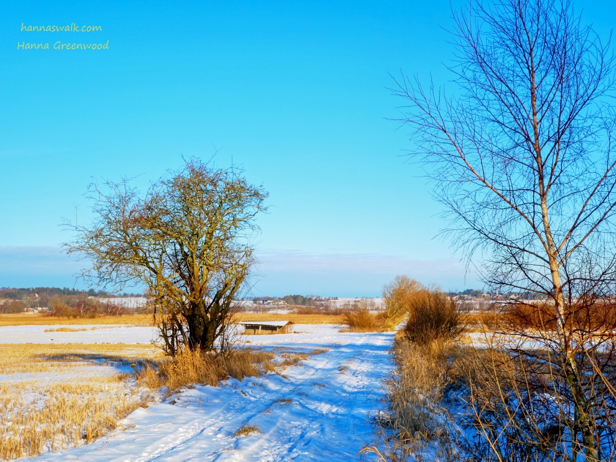 'Birds on the road', by the Danish painter Anders Andersen-Lundby